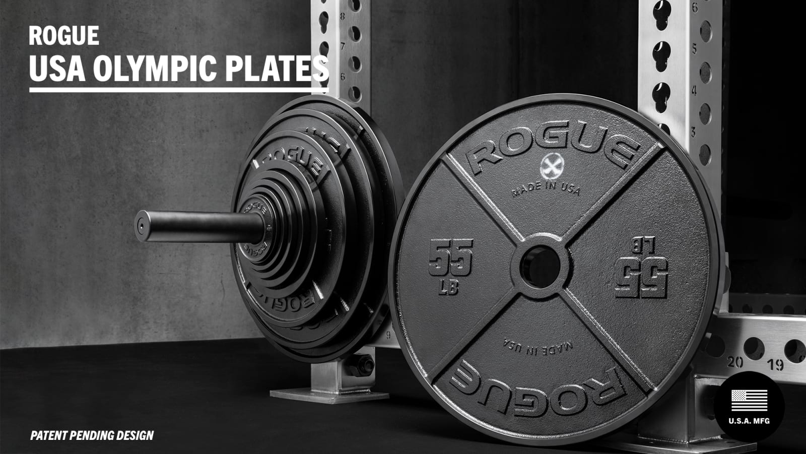 Used on sale rogue barbell